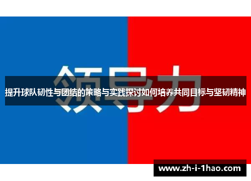 提升球队韧性与团结的策略与实践探讨如何培养共同目标与坚韧精神