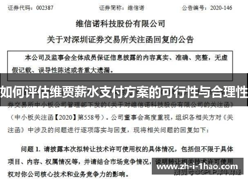 如何评估维贾薪水支付方案的可行性与合理性