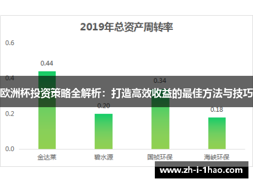 欧洲杯投资策略全解析：打造高效收益的最佳方法与技巧