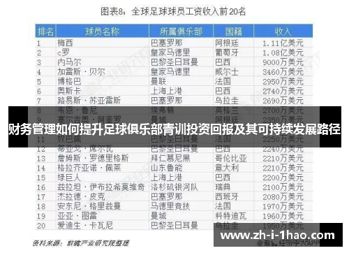 财务管理如何提升足球俱乐部青训投资回报及其可持续发展路径 财务管理如何提升足球俱乐部青训投资回报及其可持续发展路径