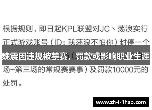 魏震因违规被禁赛,罚款或影响职业生涯 魏震因违规被禁赛,罚款或影响职业生涯